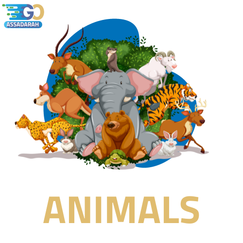 Vocabulary about the animals